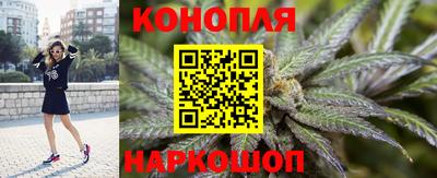 шишки Бузулук