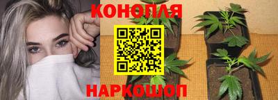 прущие грибы Бугуруслан