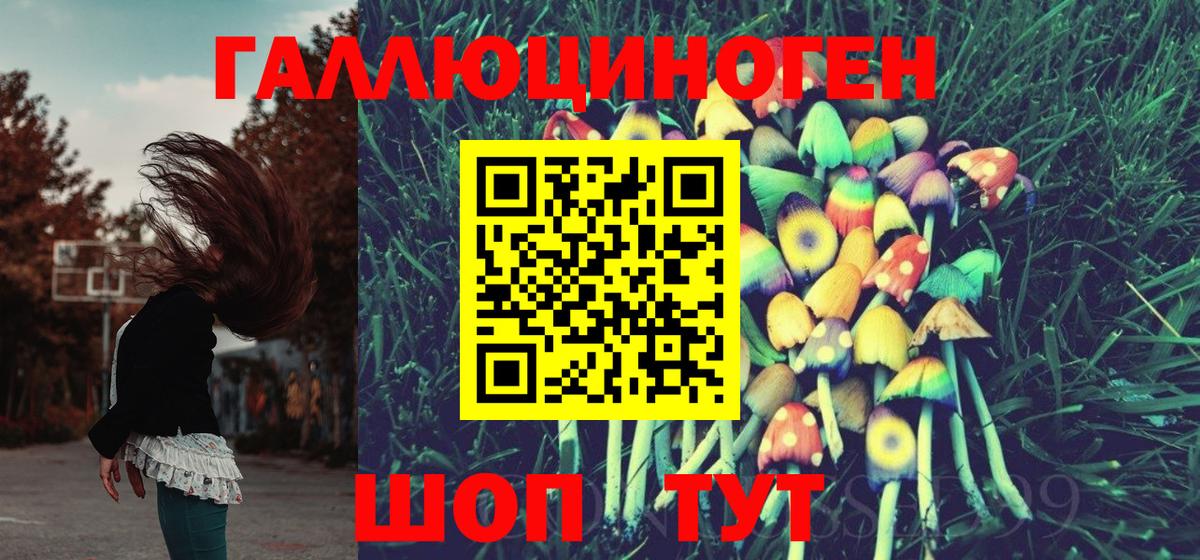 Галлюциногенные грибы MAGIC MUSHROOMS Сафоново