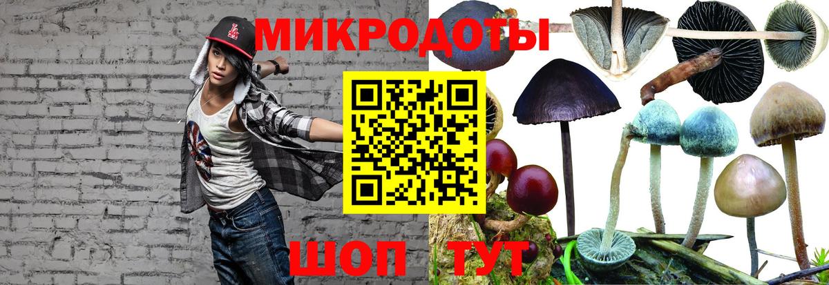 Псилоцибиновые грибы Cubensis  Псилоцибиновые грибы Psilocybe  Сафоново  Вход с VPN 